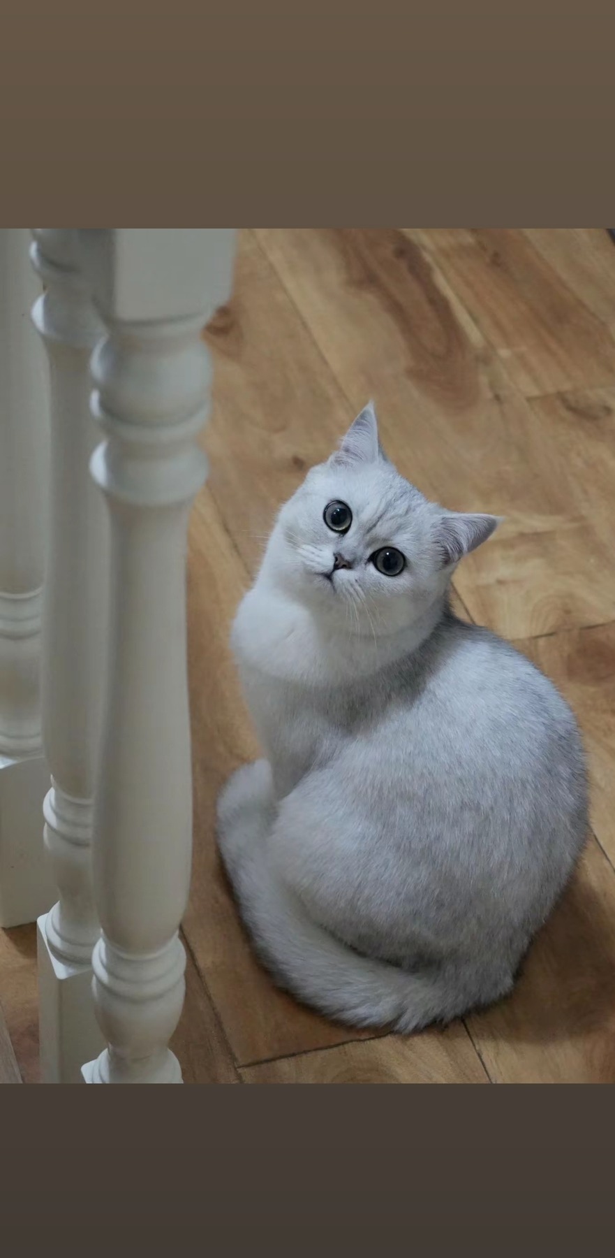 Curious Moment before